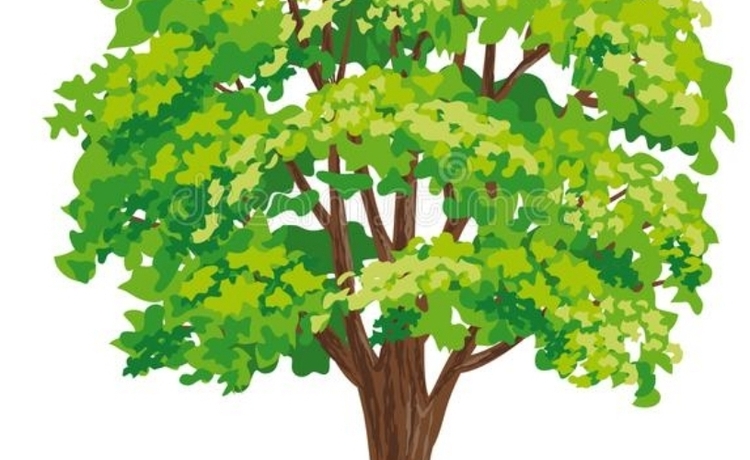 Screenshot_20230516_231510_Microsoft 365 (Office)