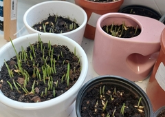 274987213-1333944727125772-9181432042538042666-n