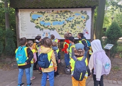 504964975-1260743805838677-8980087444991413605-n