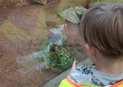 FB-IMG-1696283272884