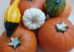 received-1315585139245119