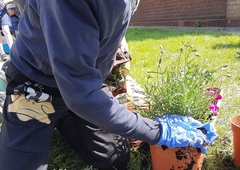 received-422414059238621 (1)