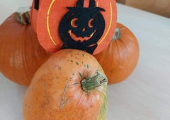 received-823576905624390